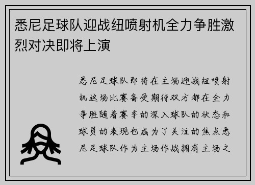 悉尼足球队迎战纽喷射机全力争胜激烈对决即将上演